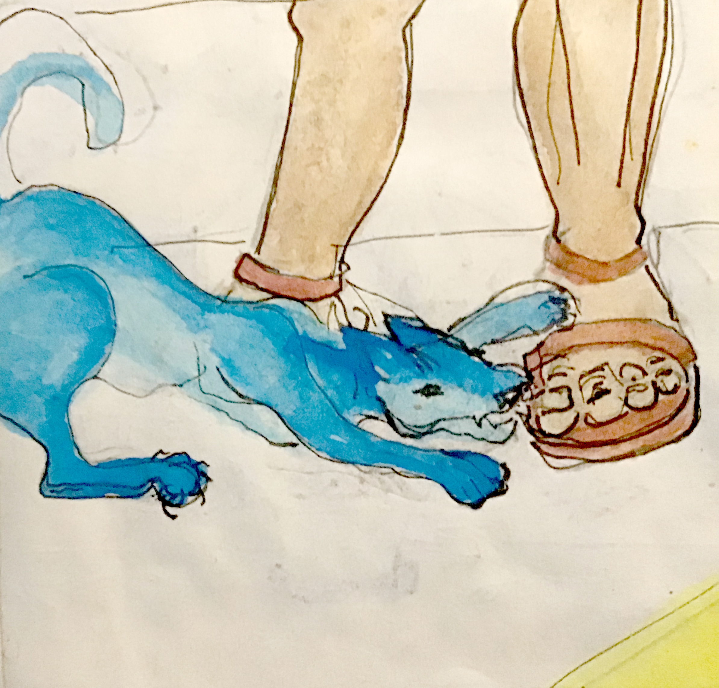 Die Katze beißt spielerisch in den Zeh
